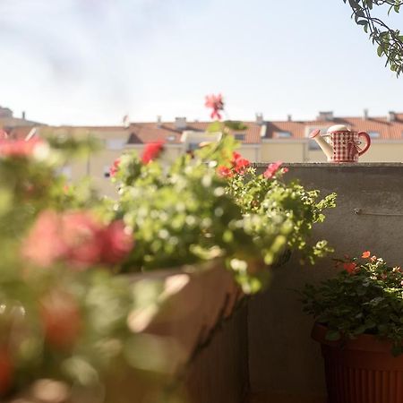 Apartament Basic Apartman Zadar Zewnętrze zdjęcie