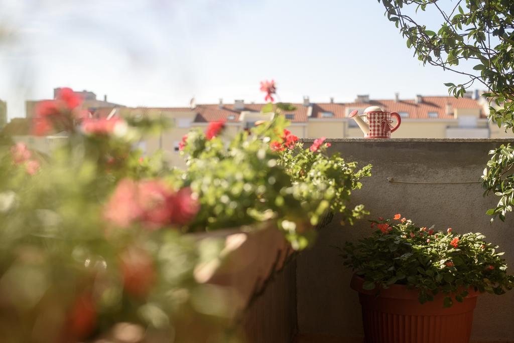 Apartament Basic Apartman Zadar Zewnętrze zdjęcie